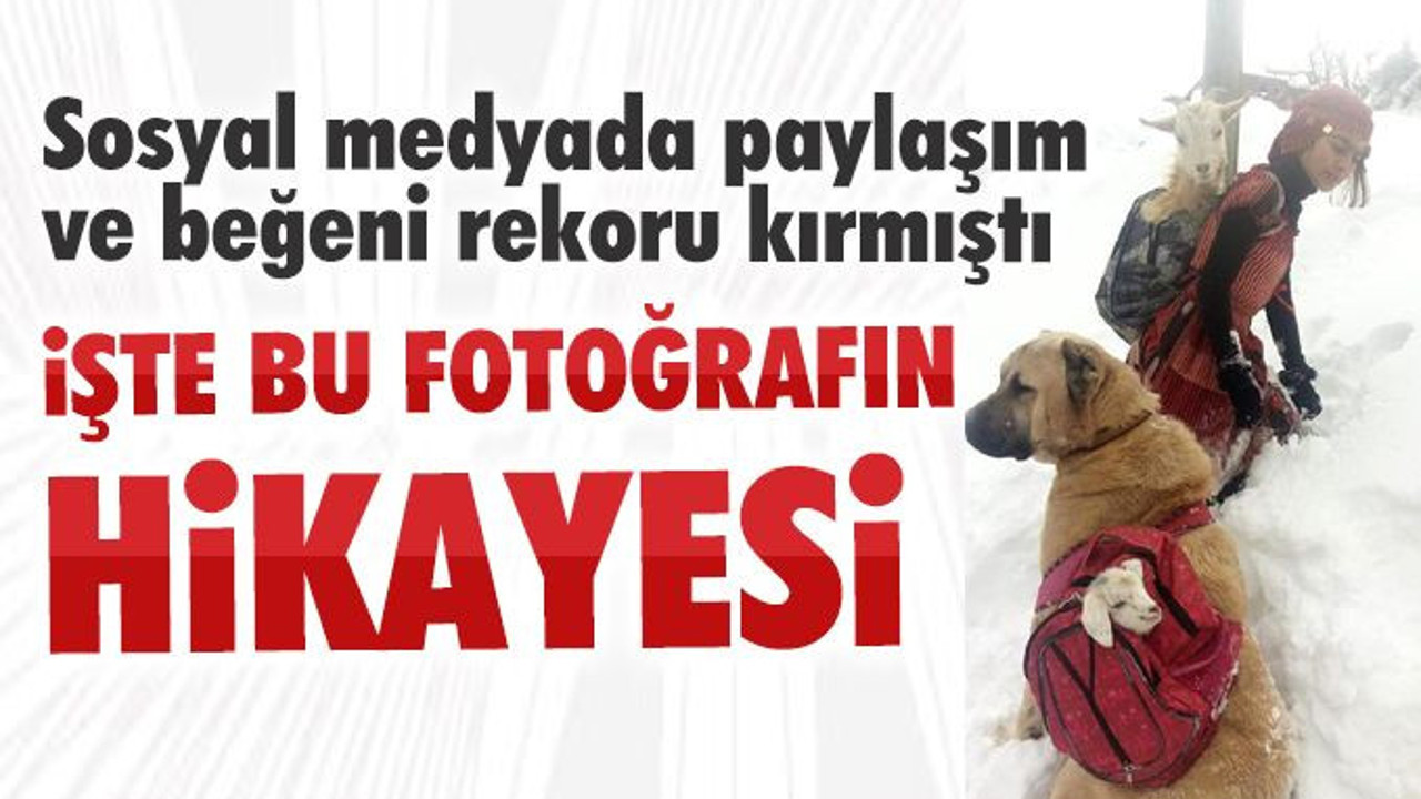 Sosyal medyada çok paylaşılan bu fotoğrafın hikayesi ortaya çıktı
