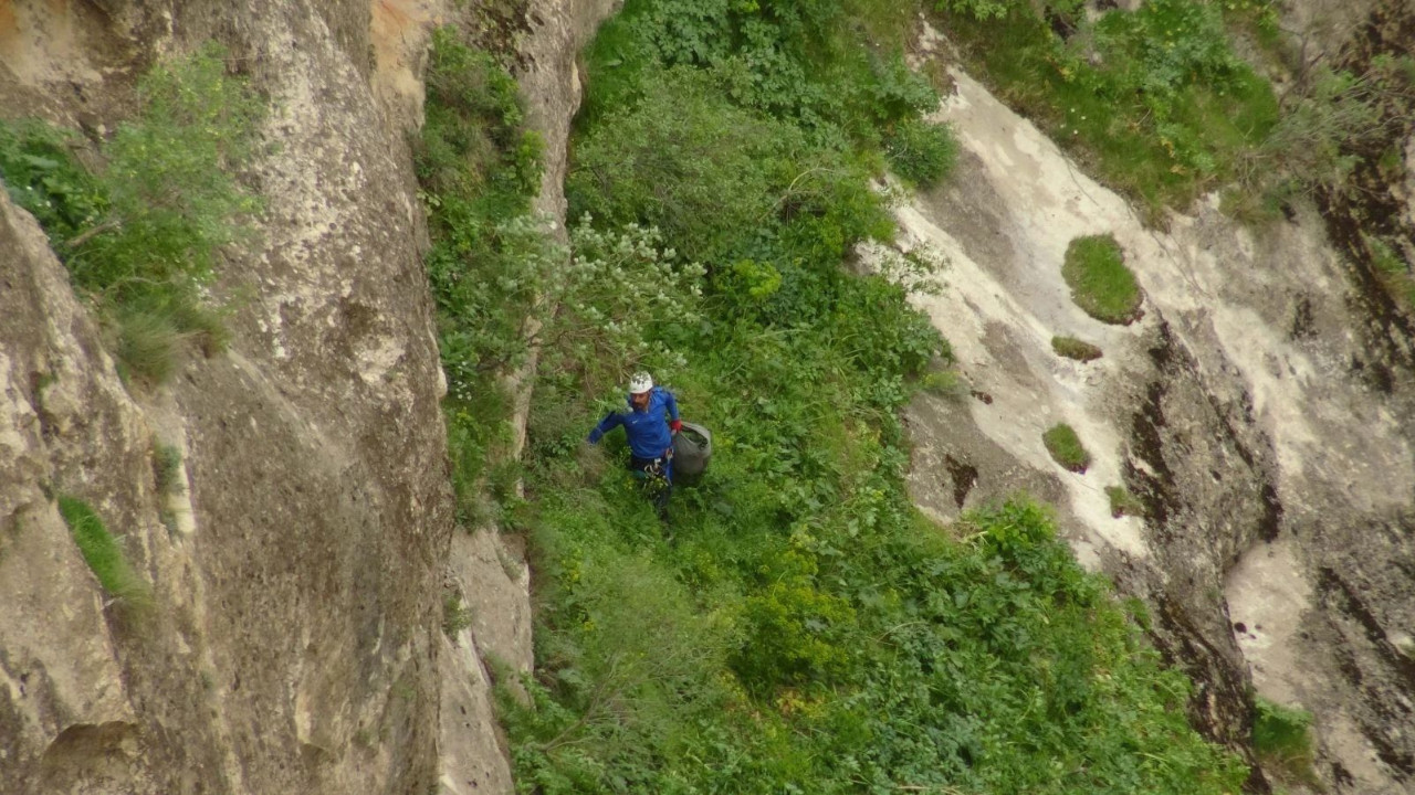 Ölüme meydan okudu, 400 metrelik kayalıklardan şifa otu topladı: 3 haftada kayboluyor!