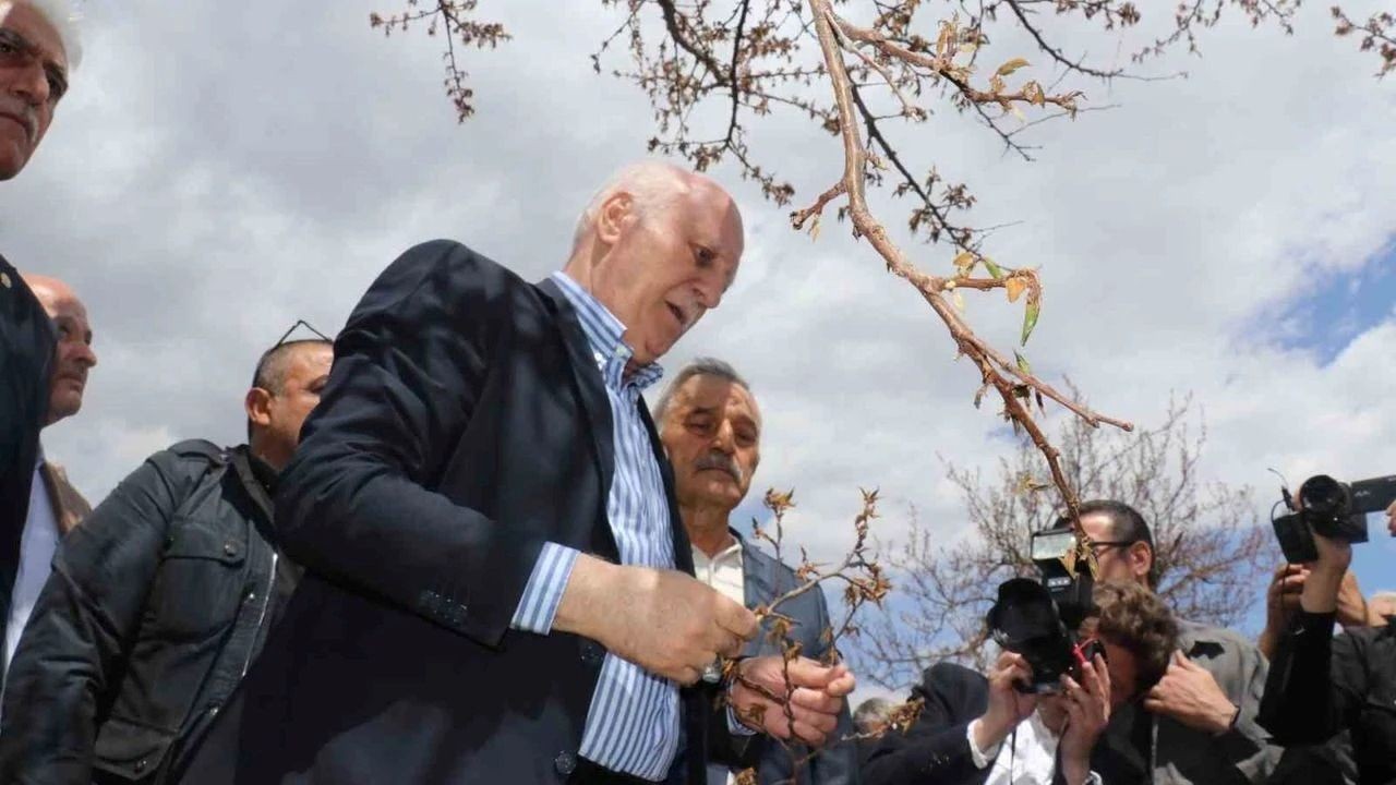 Karaman’da zirai don elmayı vurdu: Yüzde 85 kayıp