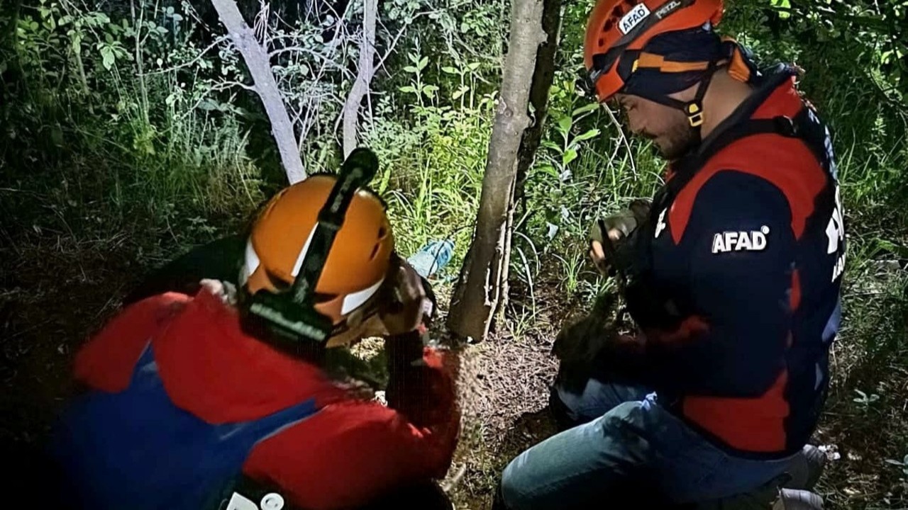 Yalova’da kaybolan adamdan acı haber: Ormanlık alanda ölü bulundu!