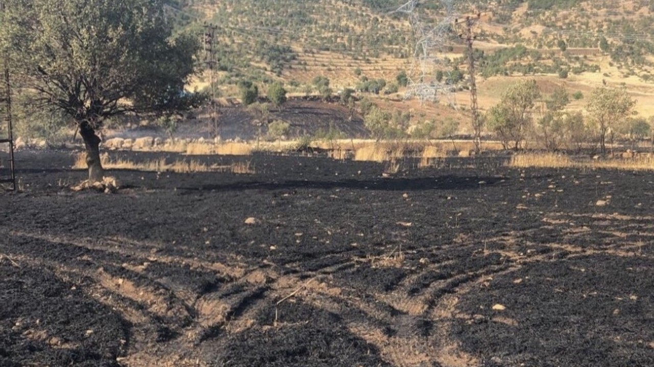 Şırnak’ta buğday tarlaları alevlere teslim: 50 dönüm kül oldu