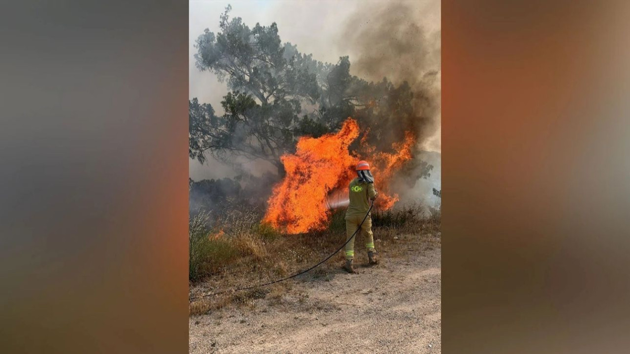 Muğla'da orman yangını: Çok büyük alan zarar gördü