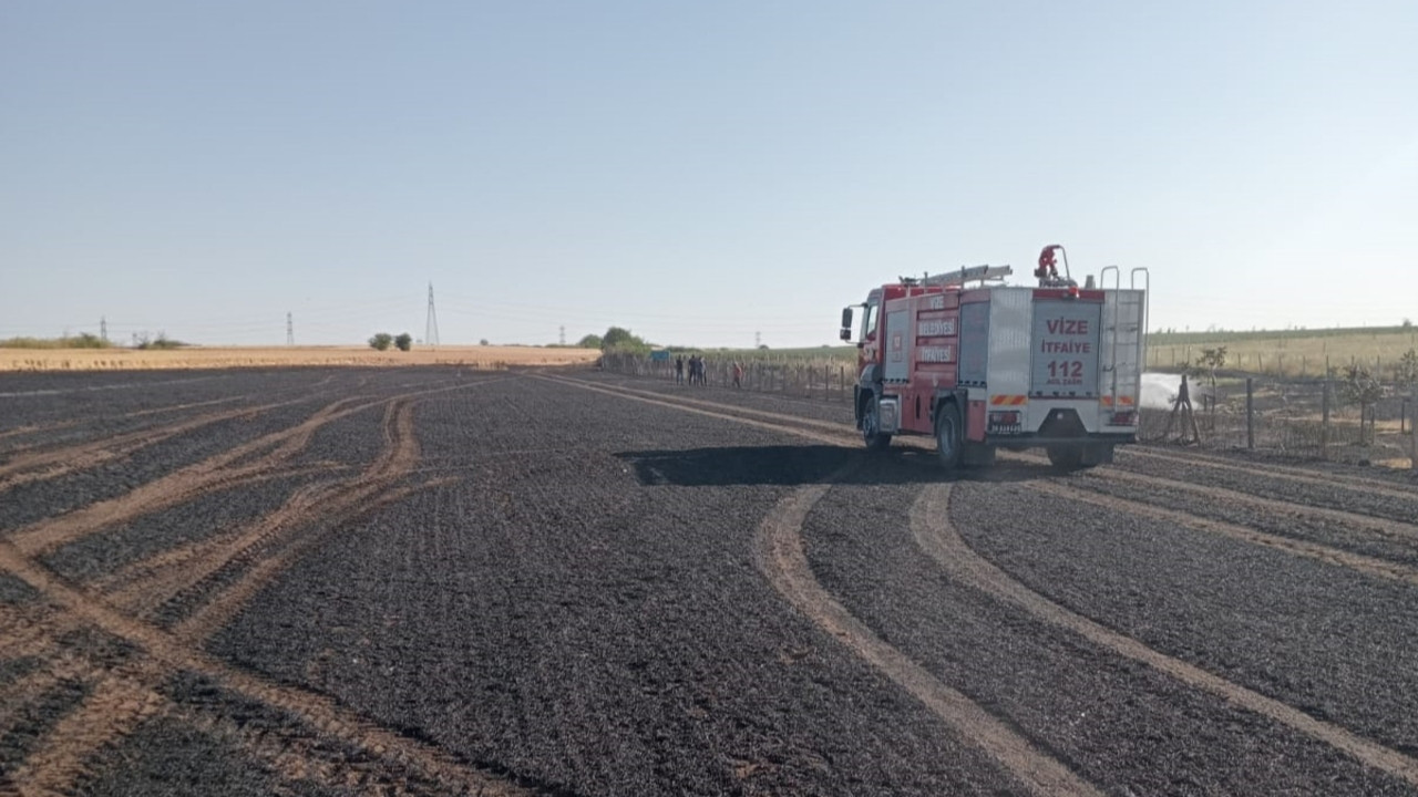 Kırklareli alevlere teslim oldu: 12 dekar buğday tarlası ile 2 dekar ceviz bahçesi yandı