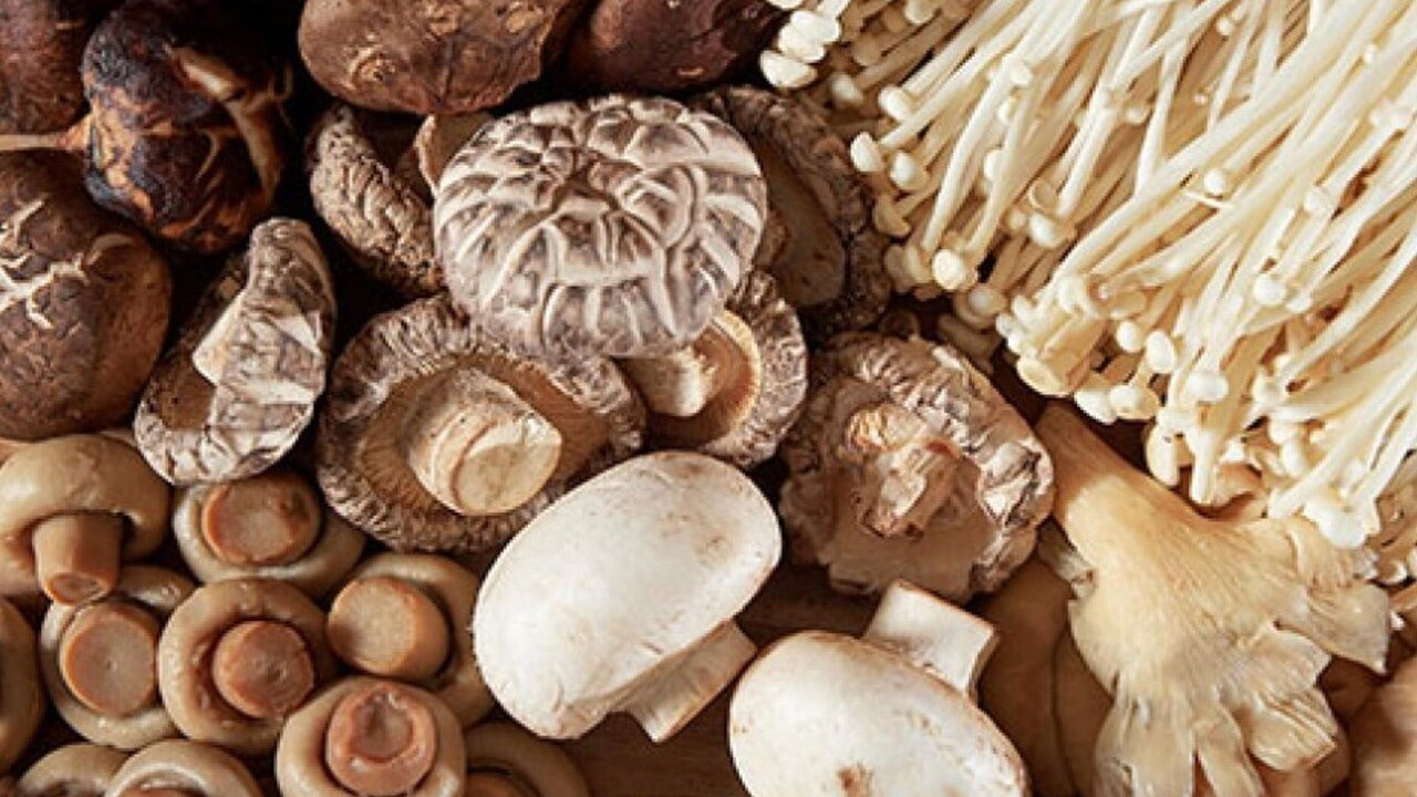 Mantar tehlikesi büyüyor! Zehirlenmeler yüzde 83 arttı