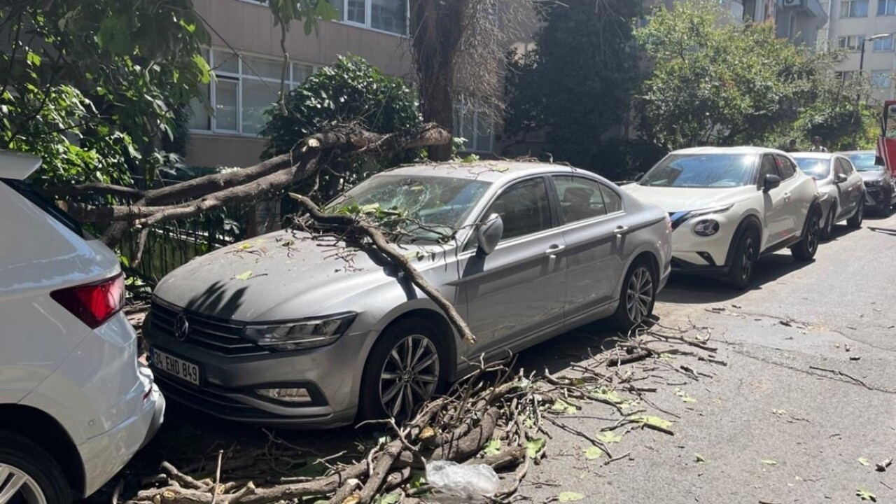 Şişli’de çürüyen ağaç dalı park halindeki aracın üstüne düştü: Vatandaş faciadan kıl payı kurtuldu!