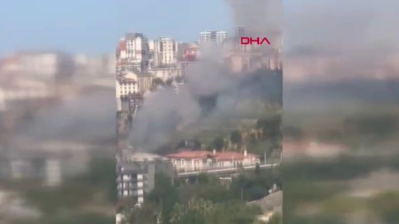 Kağıthane’de ağaçlık alanda yangın çıktı: Ekipler müdahale ediyor