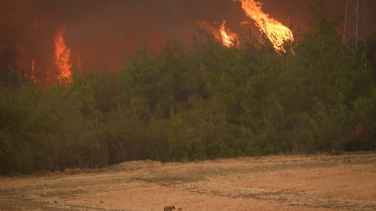 Sakarya alev alev! Yangın Bilecik’e sıçradı, köyler boşaltılıyor