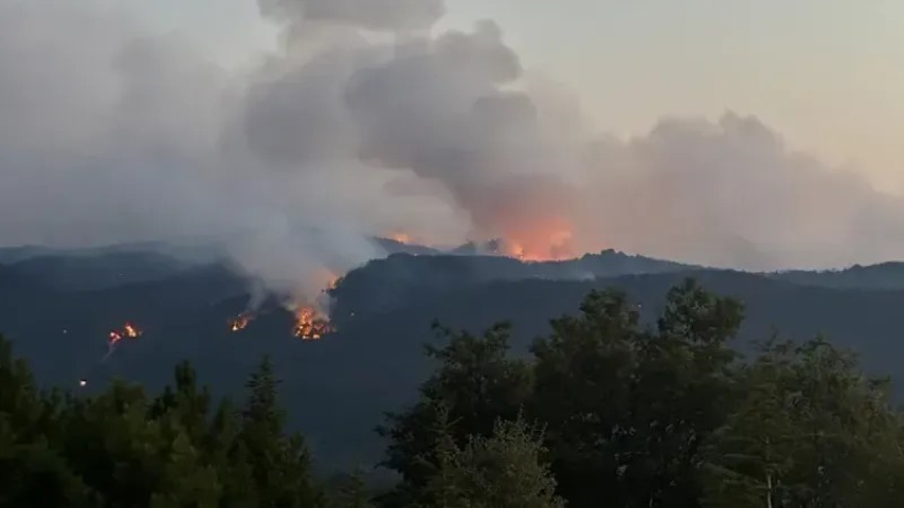 Sakarya’da yeniden orman yangını çıktı: Alevler bir anda yükseldi