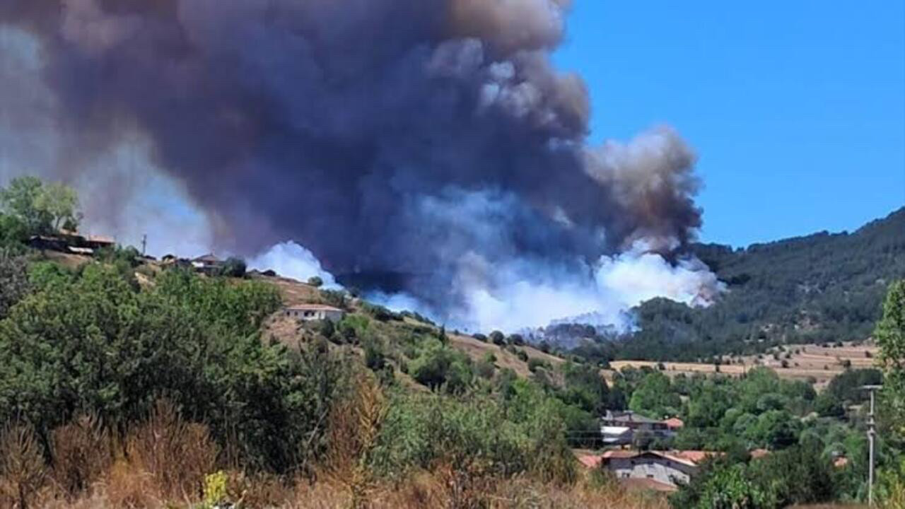 Orman yangınlarından yayılan kül haftalarca etkili olabilir! Uzmanlardan kritik uyarı: “Kapalı alanda kalın, bol su için”