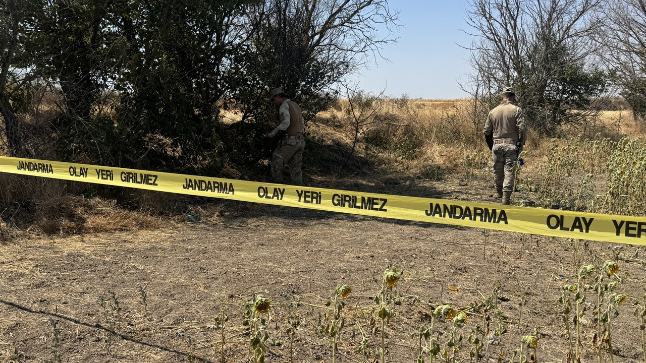 Ayçiçeği tarlasındaki cinayette itiraf geldi: Zanlı Edirne’de tutuklandı
