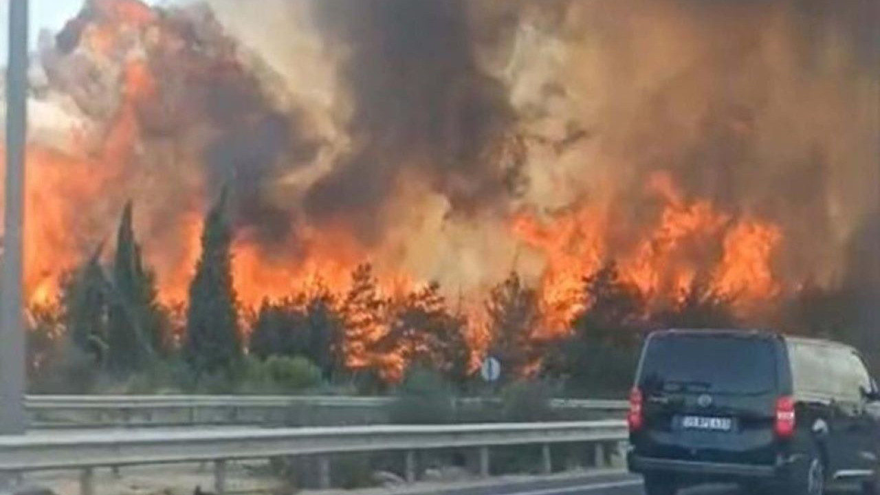 İzmir Bornova’da başlayan orman yangını Buca’ya kadar ulaştı!