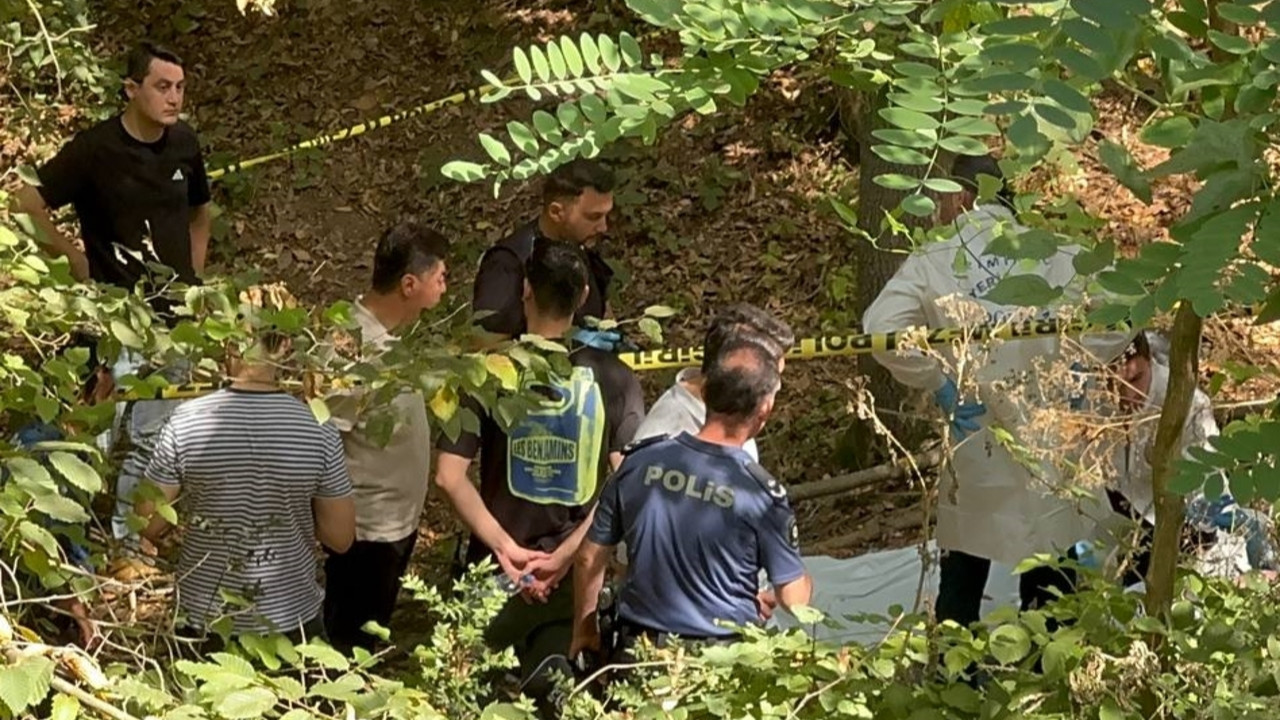 Sarıyer'de ormanda şüpheli ölüm! Başına poşet geçirilmiş erkek cesedi bulundu