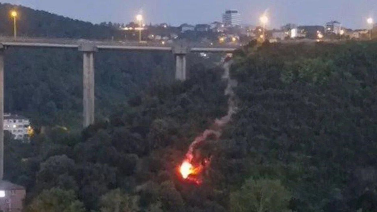 Beykoz’da işaret fişeğiyle orman yangını çıkaran kişi tutuklandı