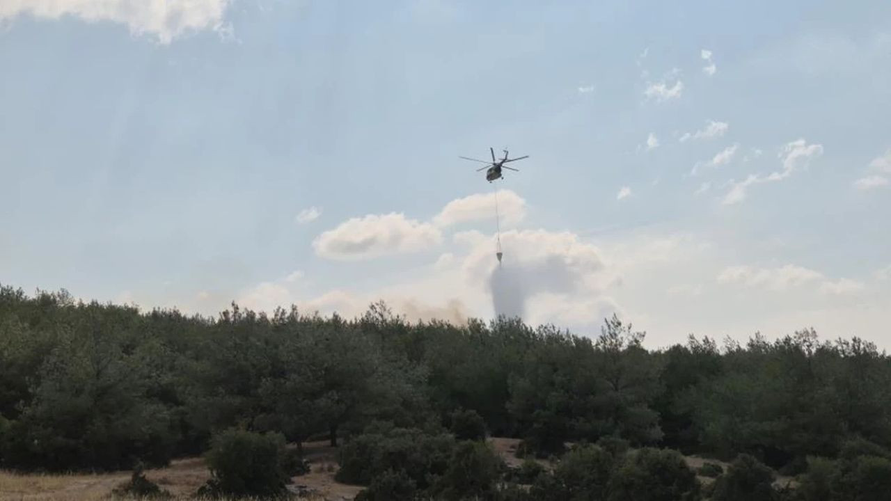 Edirne'de korkutan yangın: Alevler ormana sıçradı