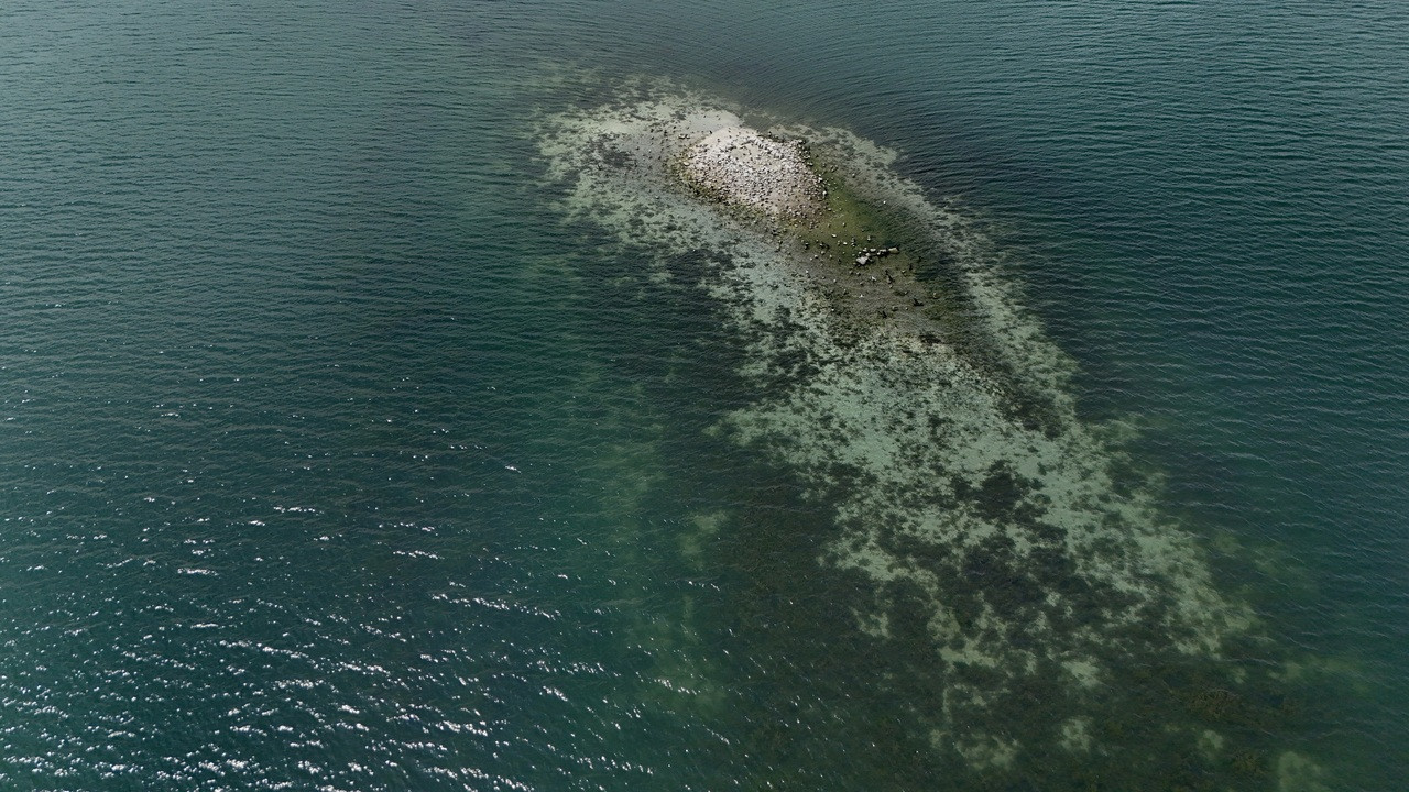 Sapanca Gölü alarm veriyor! Su seviyesi kritik eşiği aştı, taş kalıntılar ortaya çıktı
