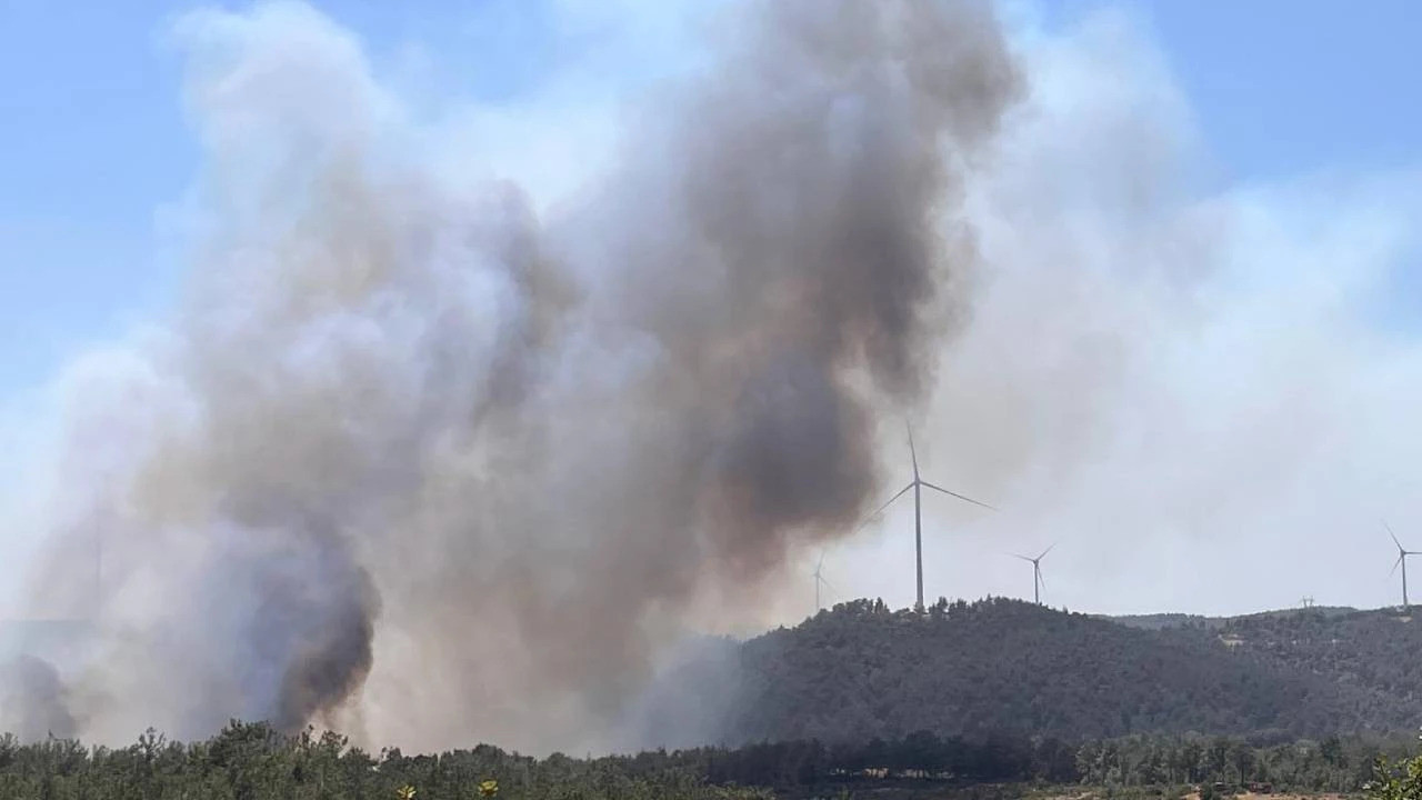 Bir yangın daha! Çanakkale'de alevler köylere ilerliyor