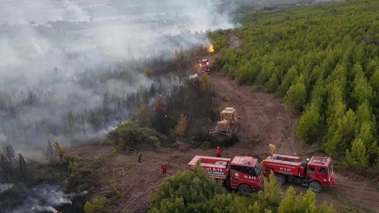Orman işçilerini taşıyan arazöz devrildi: 1 şehit, 4 yaralı