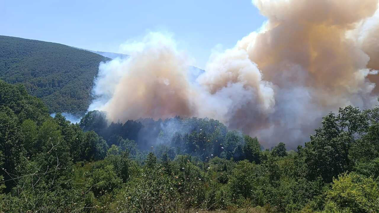Kocaeli'de orman yangını paniği: Havadan ve karadan müdahale sürüyor