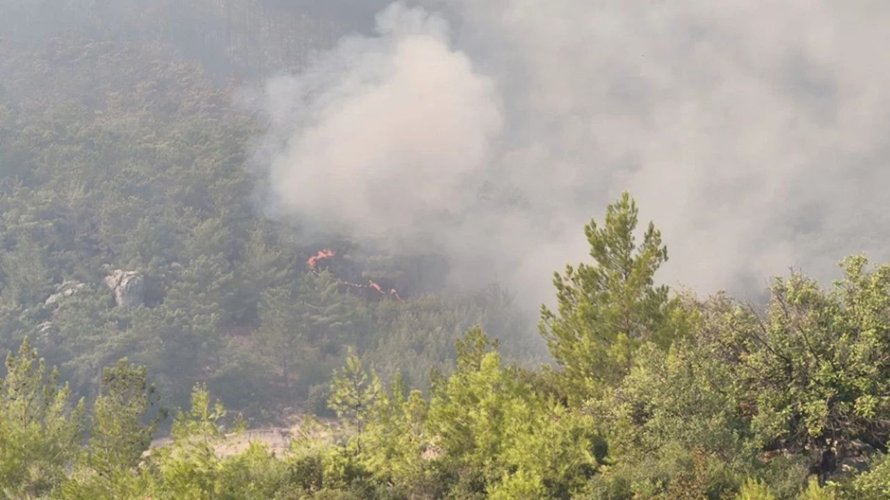 Mersin ve Hatay’da orman yangınları devam ediyor: Binlerce kişi tahliye edildi