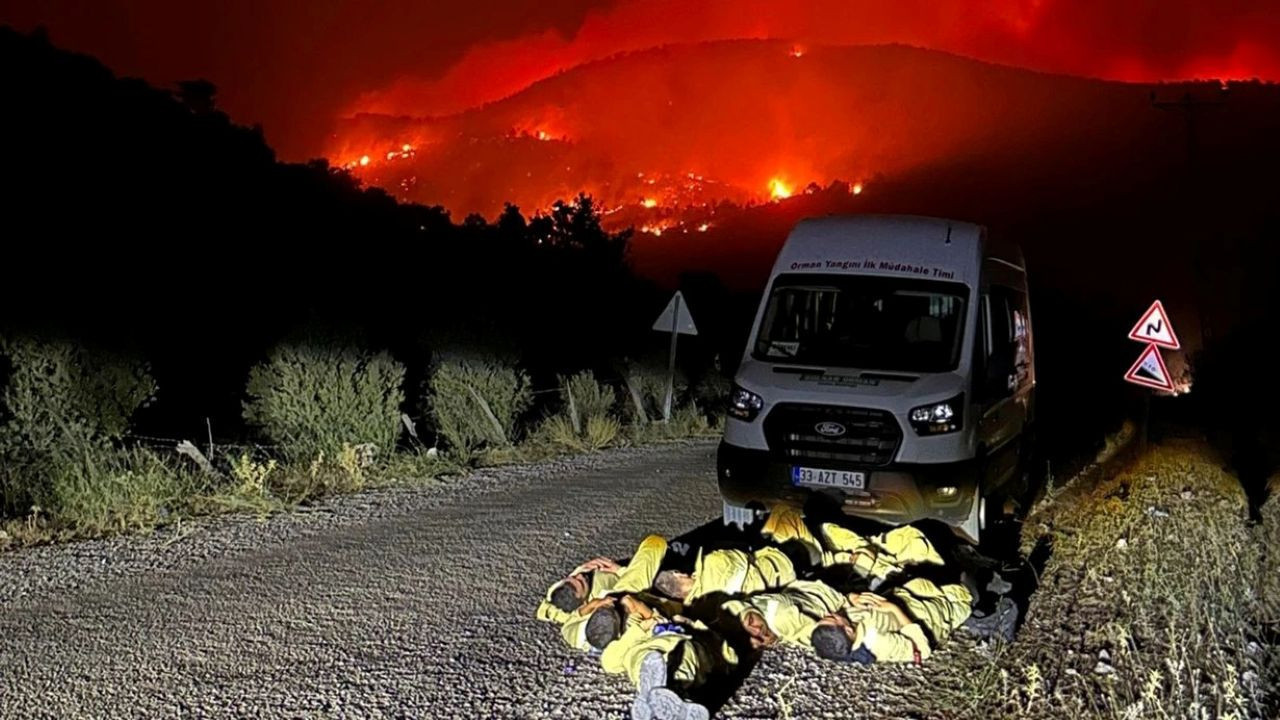 Mersin'de 15 bin dönümlük alan kül oldu: İşte yangının çıkış nedeni