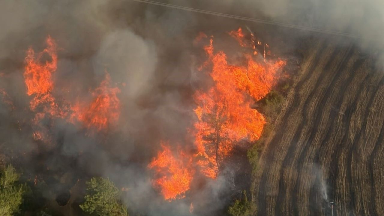 Adana’nın İmamoğlu ilçesinde orman yangını: 6 helikopter ve 2 uçakla müdahale ediliyor