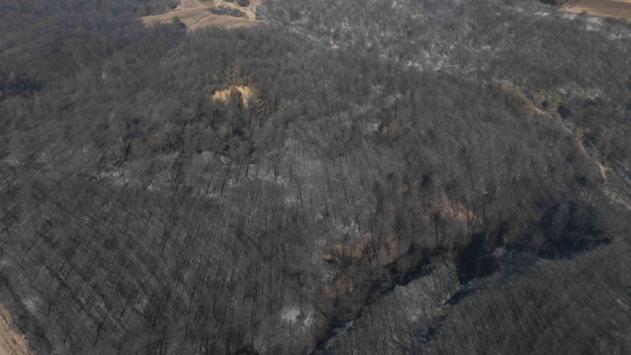 Çanakkale'de yürek yakan bilanço: Binlerce kişi tahliye edildi