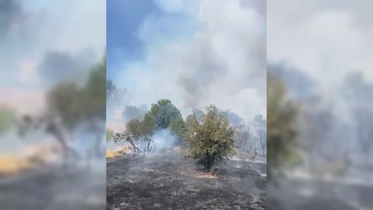 Malatya'da orman yangını çıktı: Ekipler müdahale ediyor