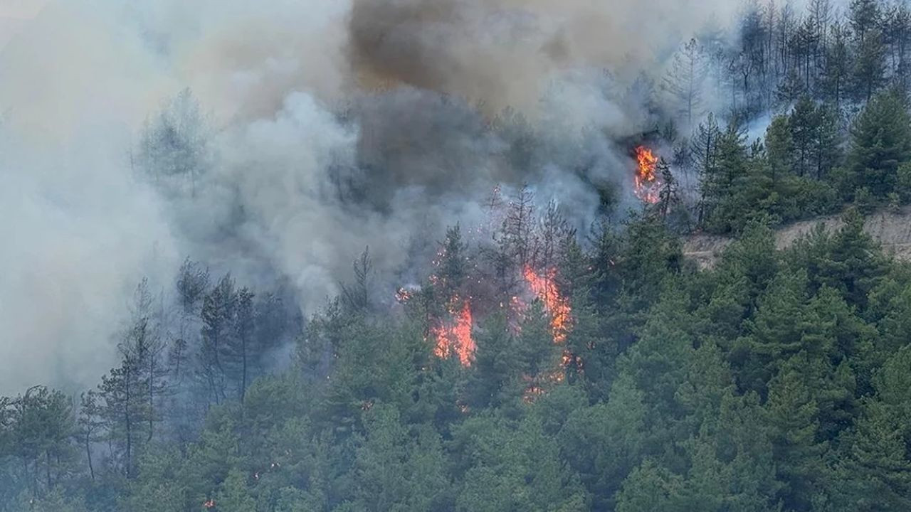 İzmir Bornova’da define kazısı faciaya yol açtı: Cezaları belli oldu