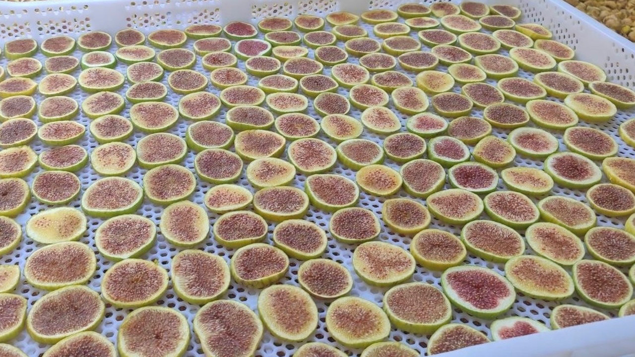 Manisa’da yeni lezzet trendi: İncir cipsi sofraların gözdesi oldu