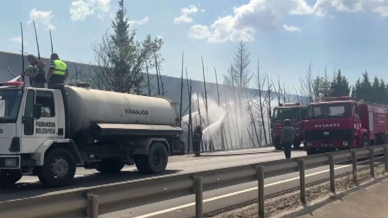 D-650 kara yolunda çıkan yangın trafiği durdurdu! Ağaçlar alev topuna döndü