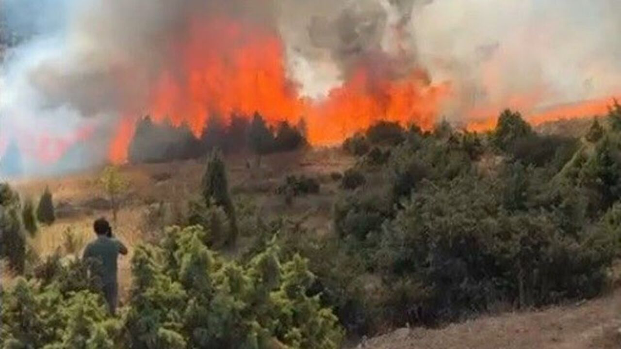 Salça kaynattı, yangın çıktı: Bilecik’te 30 dönüm kül oldu!