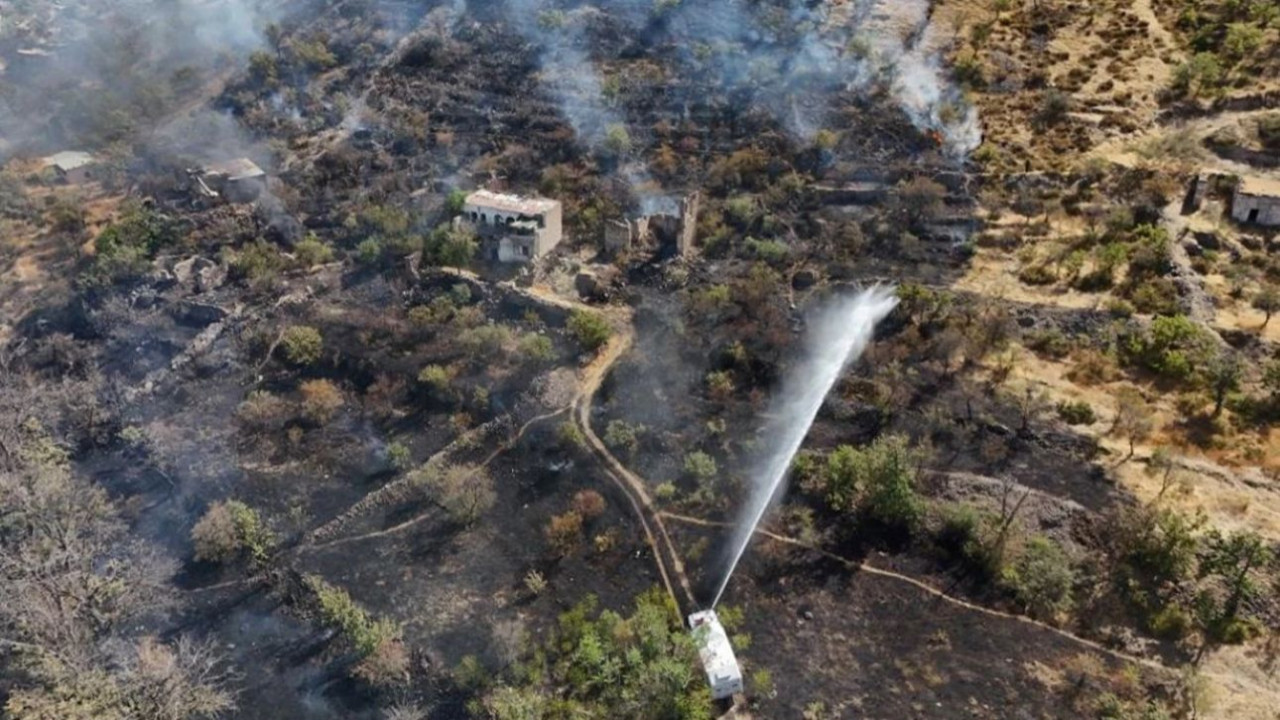 Kayseri’de patlıcan közlerken ormanı yaktı!