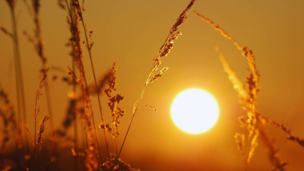 Dünya alarmda! Eylül 2025, kayıtlara geçen üçüncü en sıcak eylül oldu