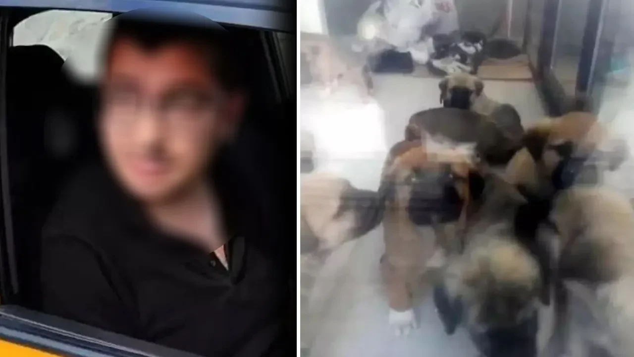Sahiplendiği köpeklere cinsel istismarda bulunup öldürmekle suçlanıyordu: Korkunç dosyada karar açıklandı