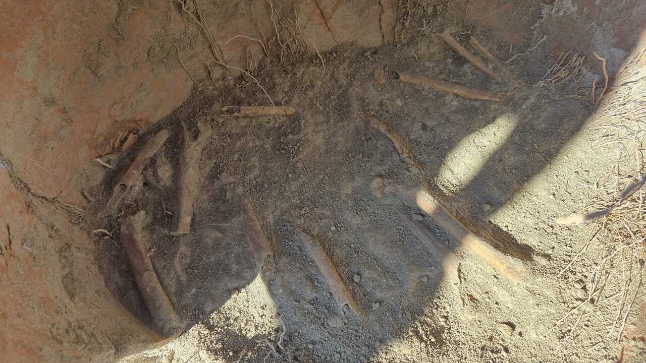 Denizli’de su borusu kazısında şok keşif: 3.500 yıllık insan kemikleri ortaya çıktı