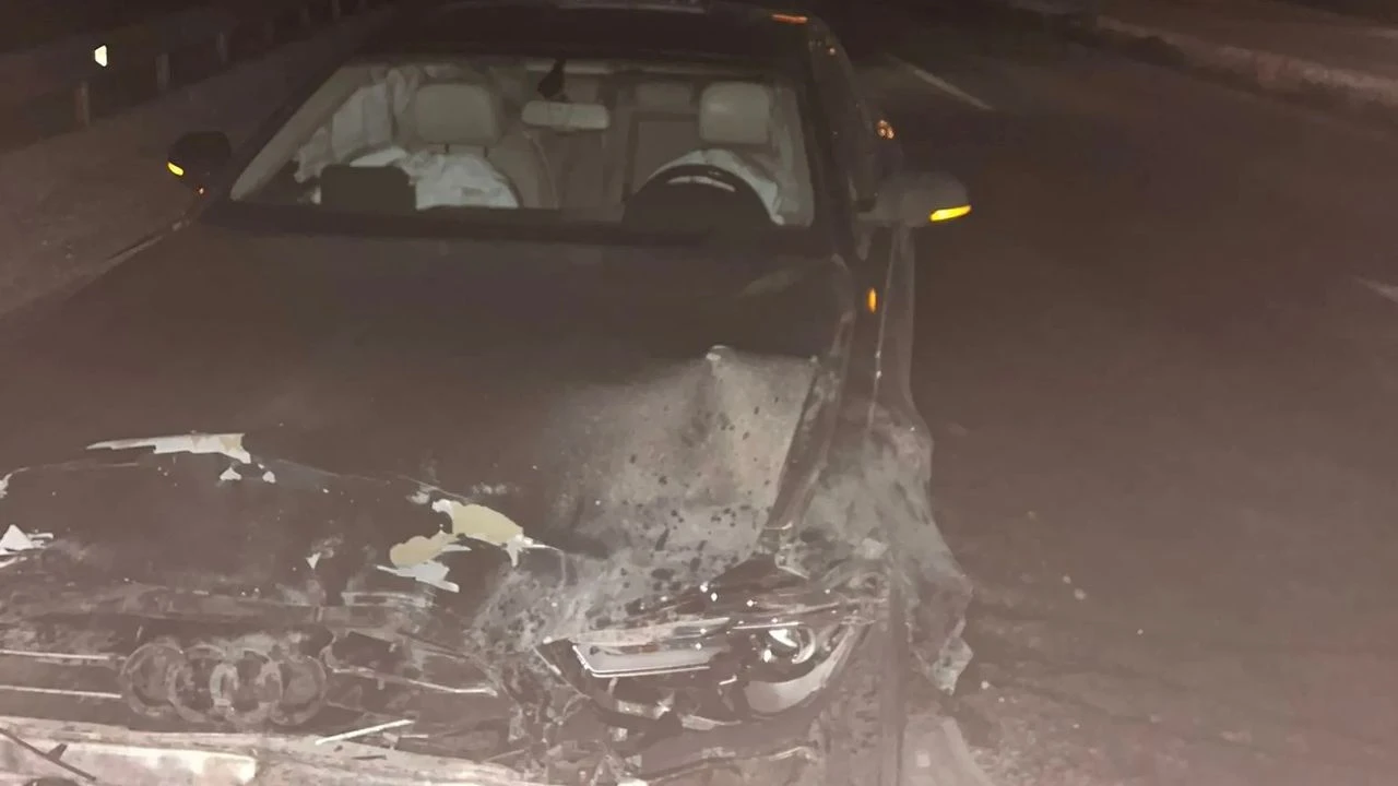 Belediye Başkanı’nın aracı domuz sürüsüne çarptı! 12 hayvan telef oldu