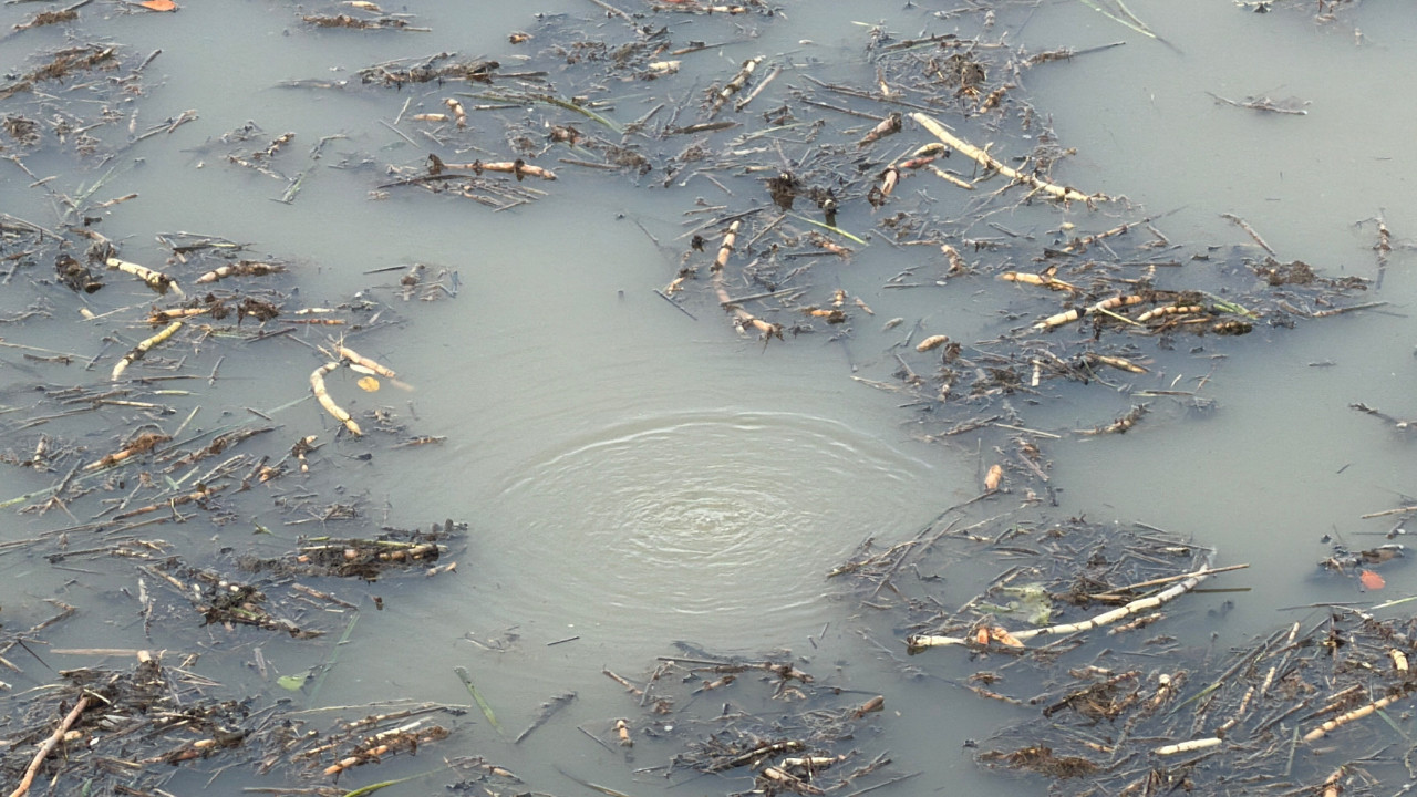 Sapanca gölüyle gündeme gelmişti: Kabarcıklar bu defa Düzce’de görüldü