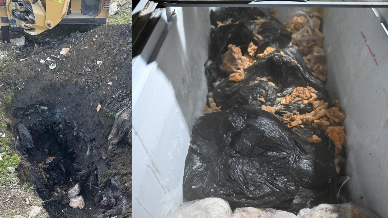 Ruhsat yok...  Hijyen yok... Manisa’da yapılan denetimde skandal görüntüler