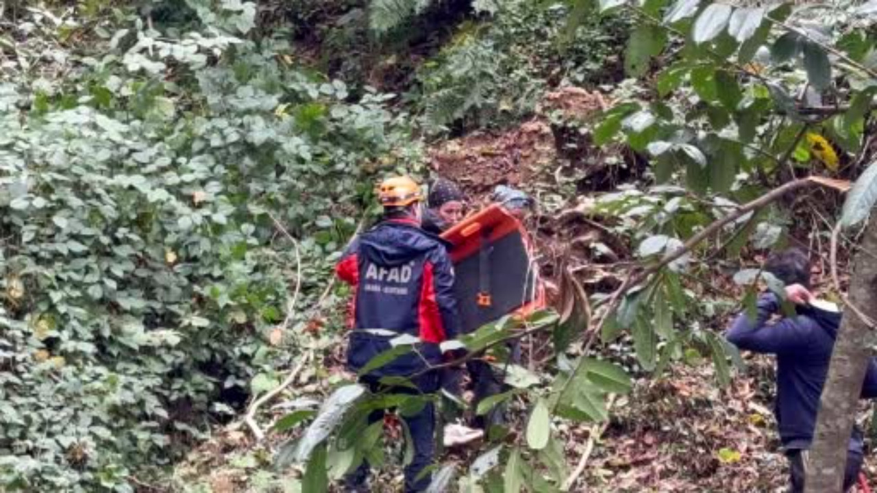 Rize'de feci kaza: Kestiği ağaç ona çarptı, uçurumdan yuvarlandı