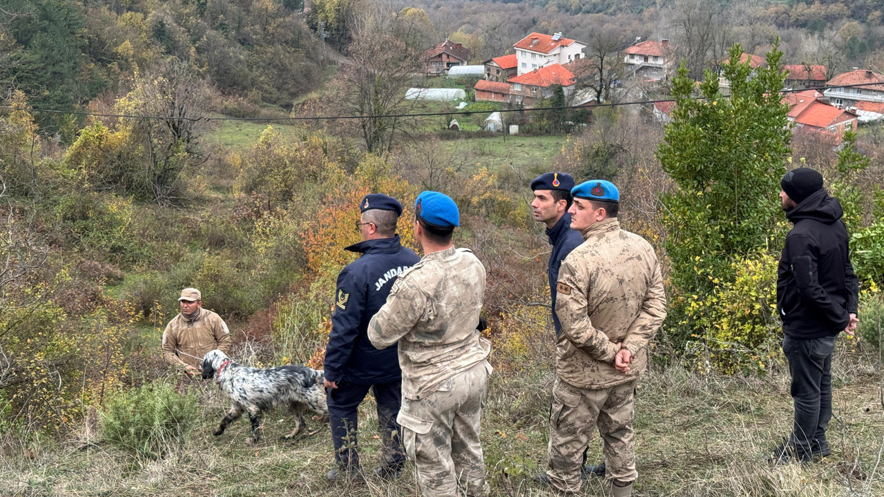 Defne yaprağı toplamak için çıkmıştı: Yaşlı kadın ormanlık alanda ölü bulundu