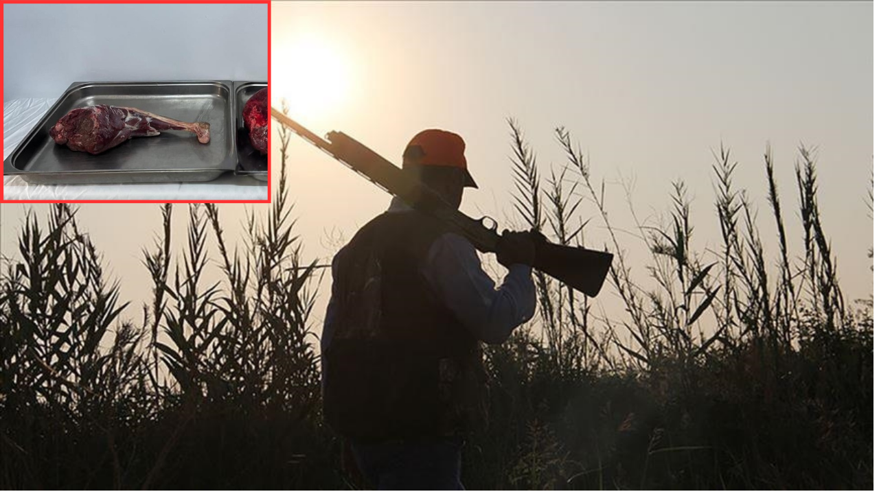 O avın faturası ağır oldu: 954 bin lira ceza kesildi