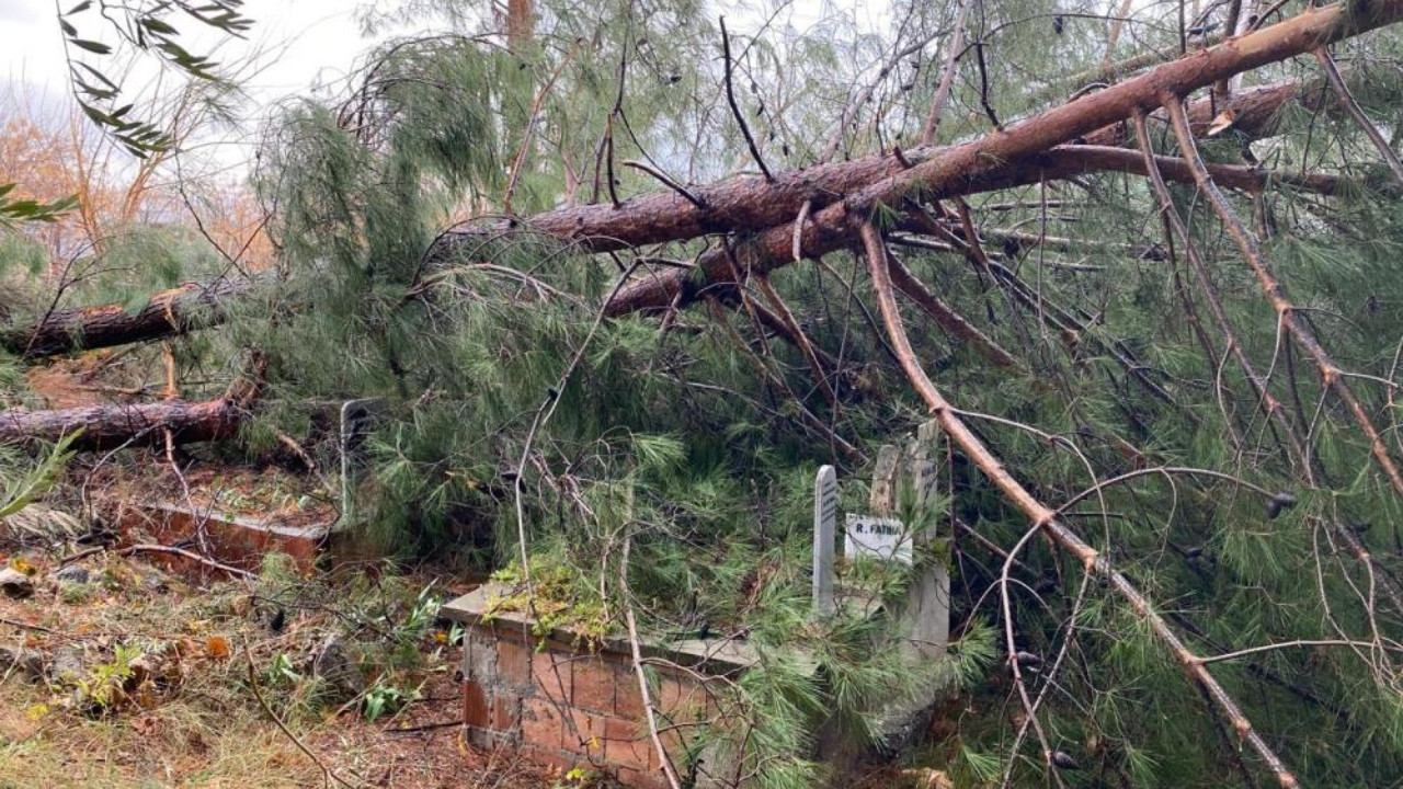 Osmaniye'de korkutan manzara: Fırtına yıkılmadık ağaç bırakmadı