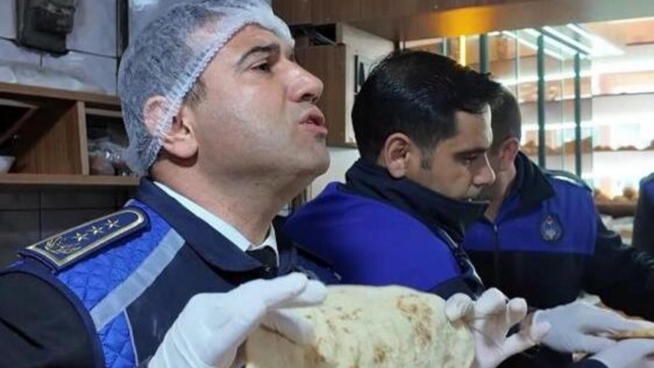 Zabıta müdürü isyan etti: 'Fareyi geçtim yılan çıkacak diye korkuyorum'