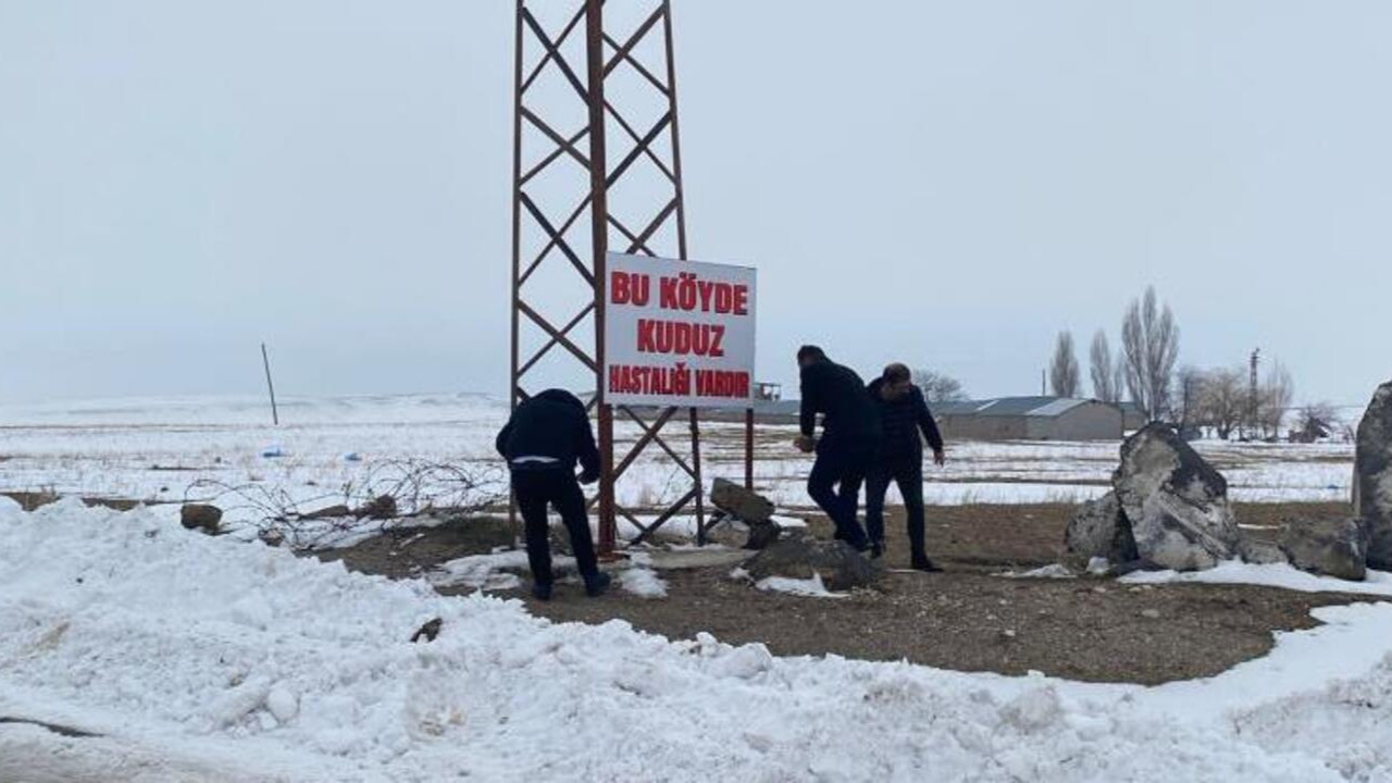 Bitlis'te kuduz alarmı! O köy karantinaya alındı