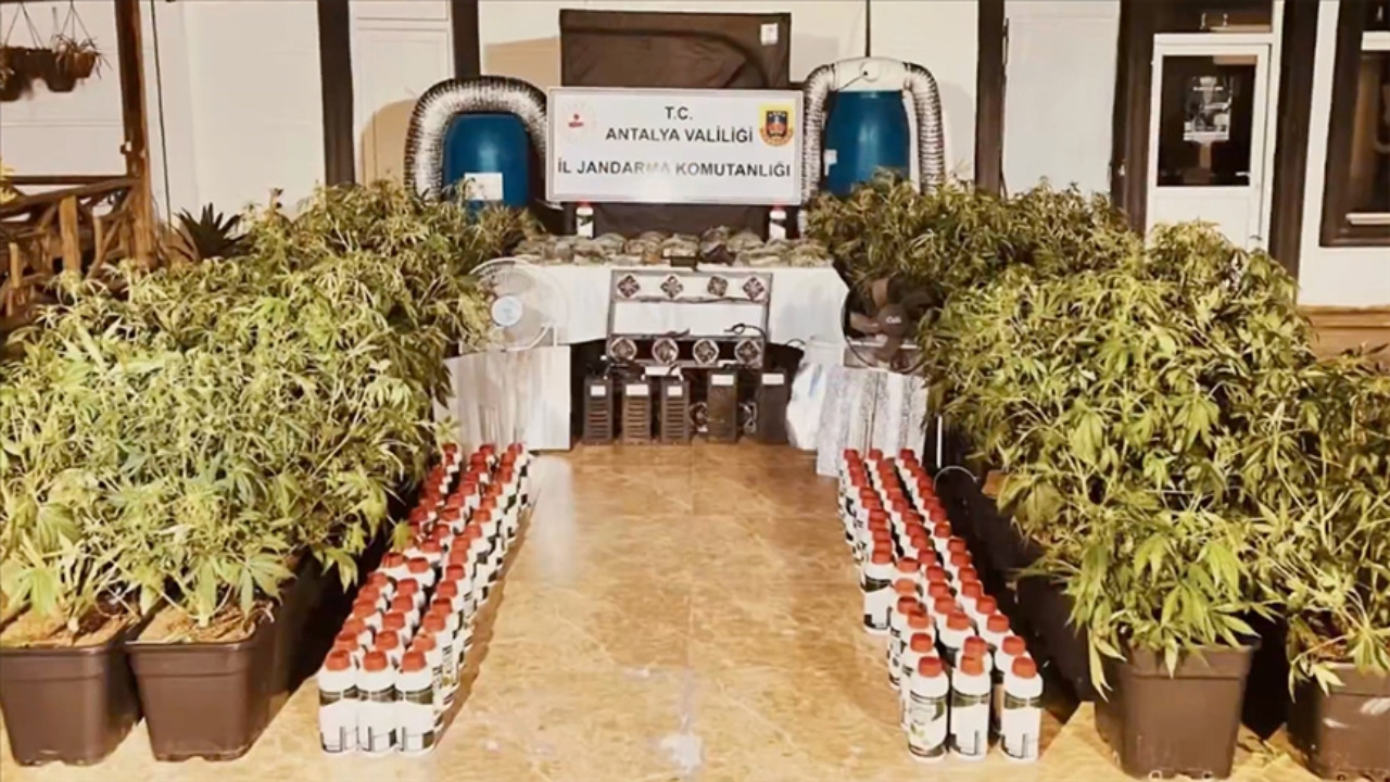 Bakan Yerlikaya duyurdu: 14 günde 521 gözaltı! İşte operasyonun detayları