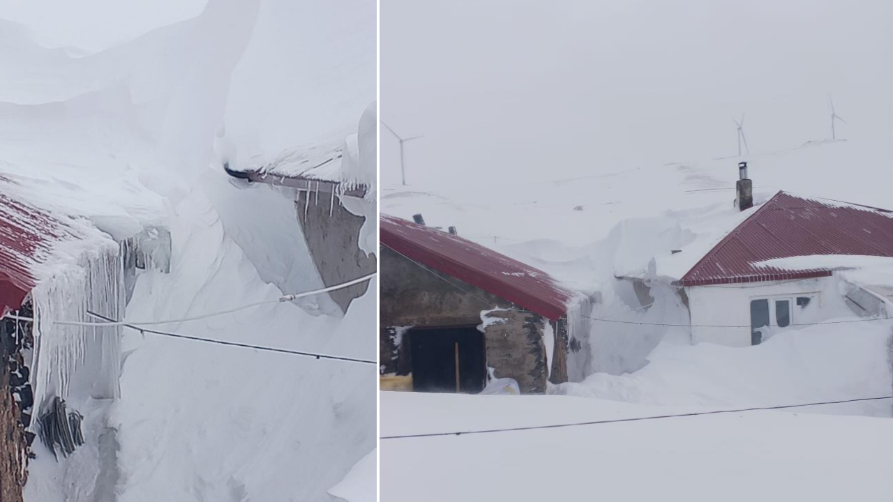 Ağrı'da kar esareti: Köy evleri kara gömüldü