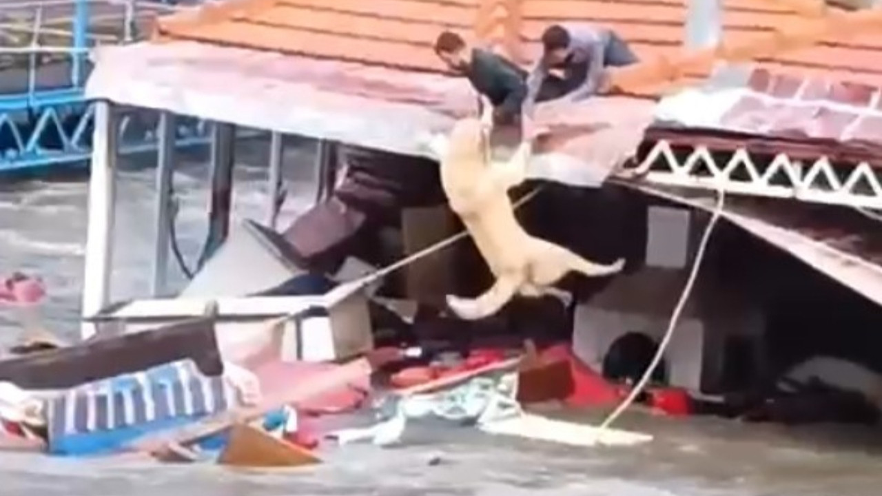 Alanya'da selin bilançosu ağır: Çaylar taştı, işletmeler sürüklendi