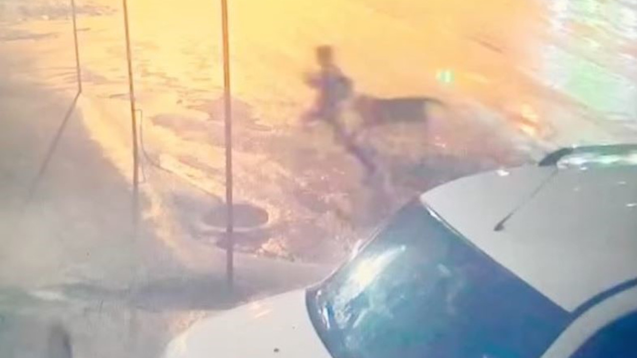 Adıyaman'da dehşet anları: 10 yaşındaki çocuğu köpek sürüsünden mahalleli kurtardı