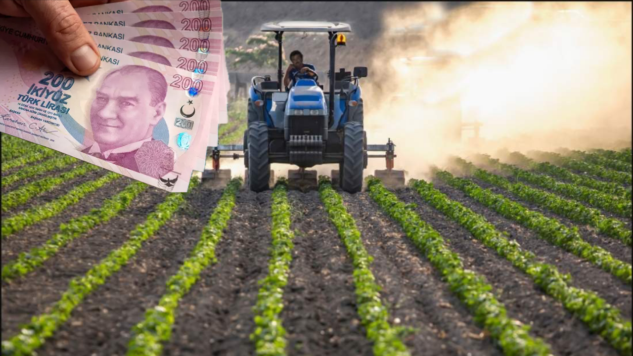 Çiftçilere destek kredisi şartları değişti: Kimler yararlanacak? (5 soru 5 yanıt)