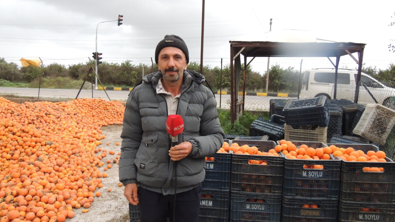 Tarım İşçileri Derneği Başkanı Eyüp Tat: İşçilerle üreticileri karşı karşıya getirmek istiyorlar